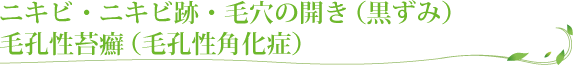 ニキビ・ニキビ跡・毛穴の開き(黒ずみ)・毛孔性苔癬(毛孔性角化症)